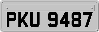 PKU9487