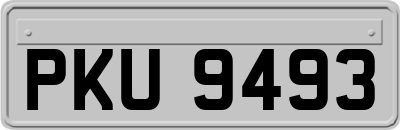 PKU9493
