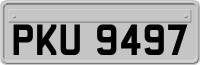 PKU9497