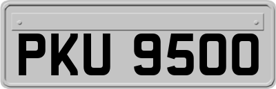 PKU9500