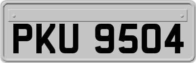 PKU9504