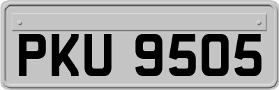 PKU9505