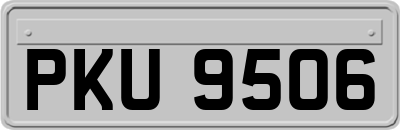 PKU9506