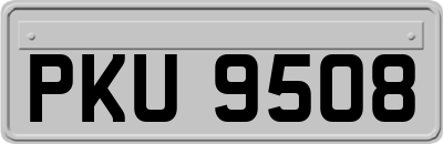 PKU9508