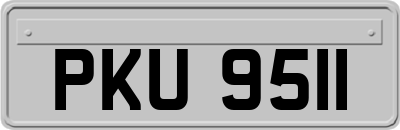 PKU9511