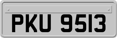 PKU9513