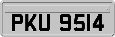 PKU9514