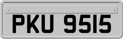 PKU9515