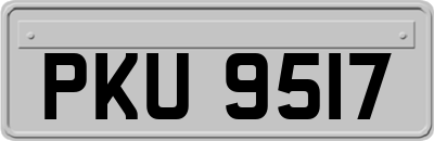 PKU9517