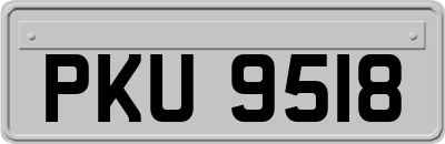 PKU9518