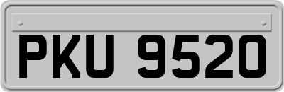 PKU9520