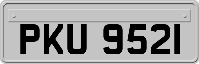 PKU9521