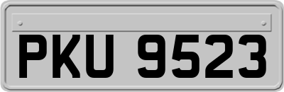 PKU9523