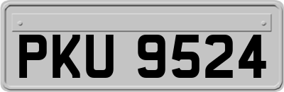 PKU9524
