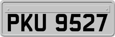PKU9527