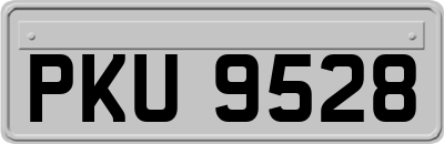 PKU9528