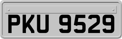 PKU9529