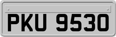 PKU9530