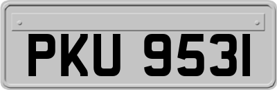 PKU9531