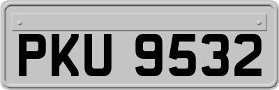 PKU9532