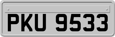 PKU9533