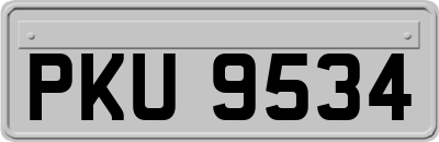 PKU9534