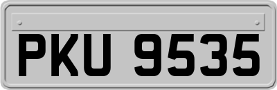 PKU9535