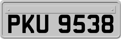 PKU9538