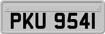 PKU9541