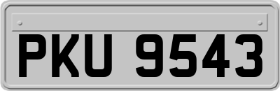 PKU9543