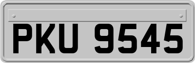 PKU9545