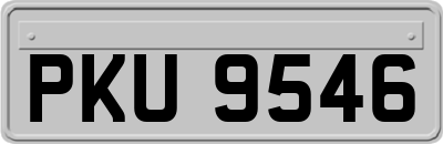 PKU9546