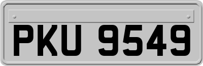 PKU9549