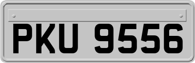 PKU9556
