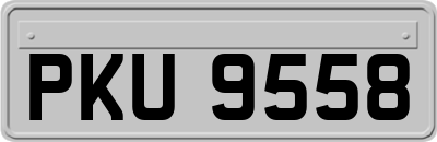 PKU9558