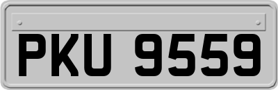 PKU9559