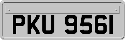 PKU9561