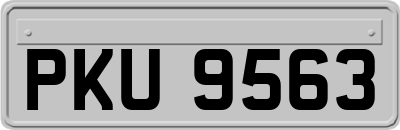 PKU9563