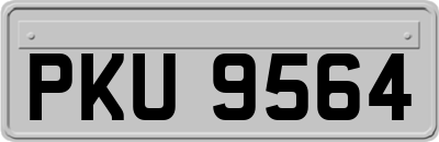 PKU9564