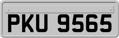 PKU9565