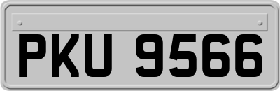 PKU9566