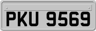 PKU9569