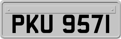 PKU9571