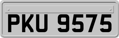 PKU9575