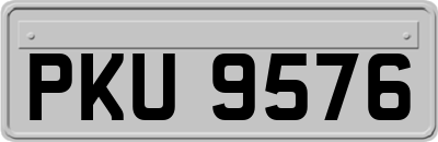 PKU9576