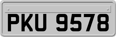 PKU9578