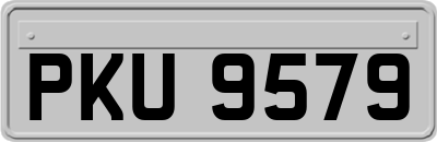 PKU9579