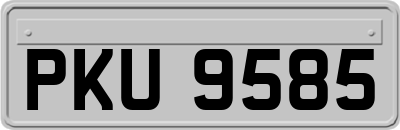 PKU9585