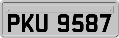 PKU9587