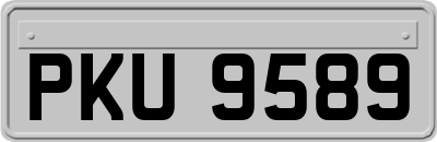 PKU9589
